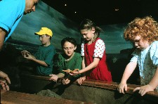touch tank